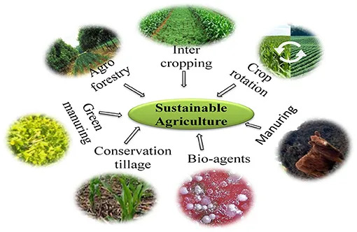 The practices of sustainable agriculture