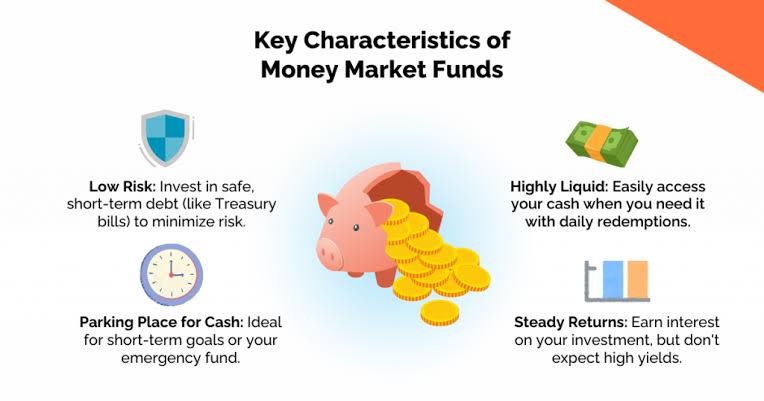 Characteristics of Money Market Funds