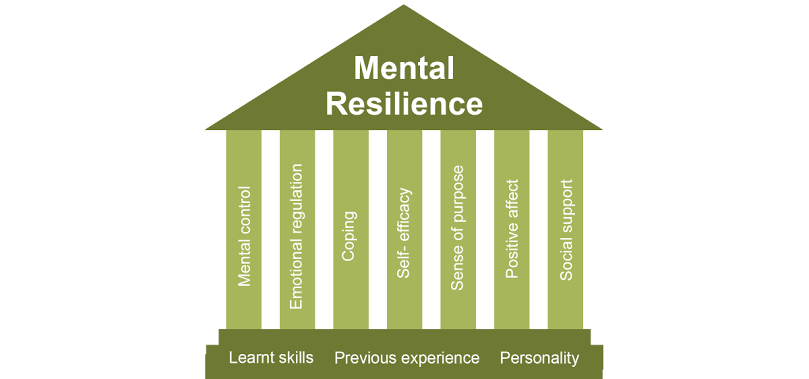 Mental Resilience Pillar