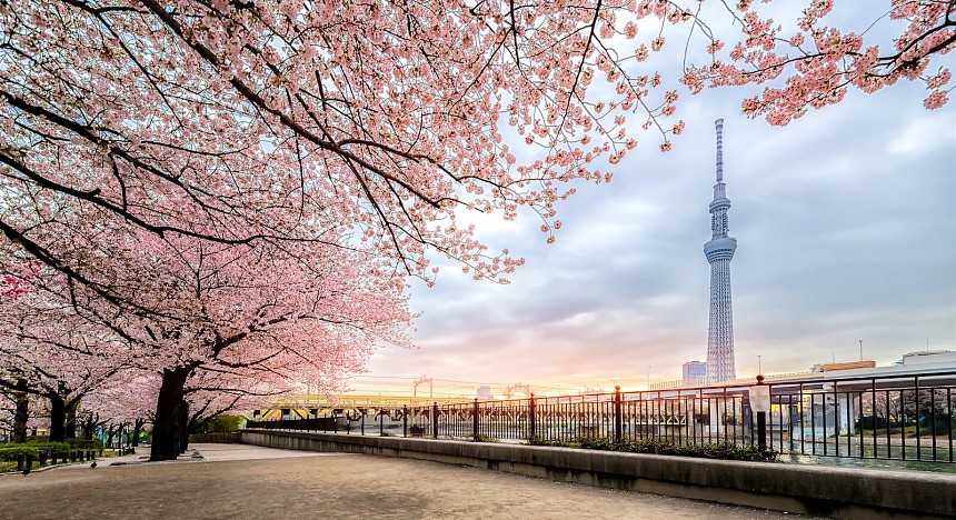 48 Hours in Tokyo