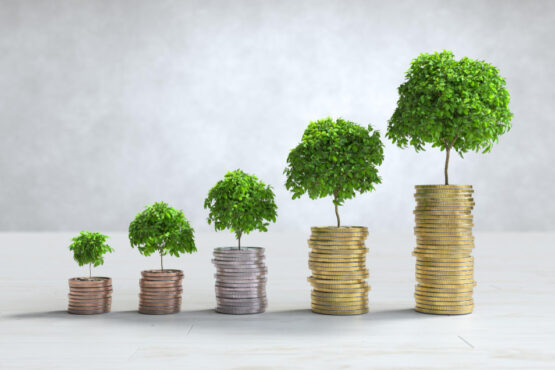 Best Way to Make Money on Savings for Beginners