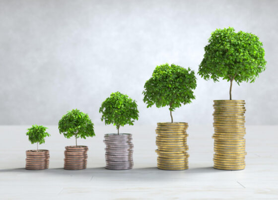 Best Way to Make Money on Savings for Beginners