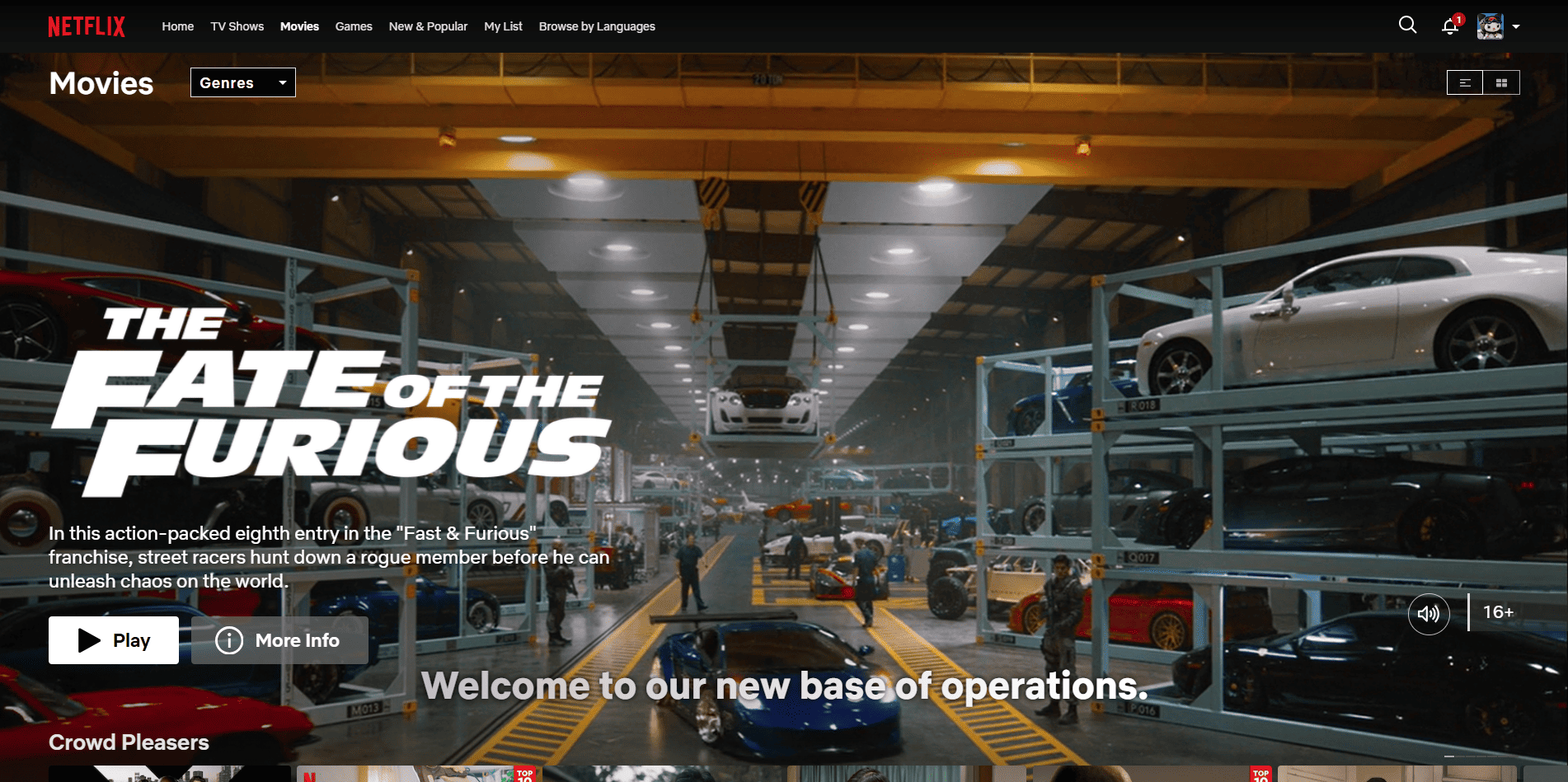 Netflix Page