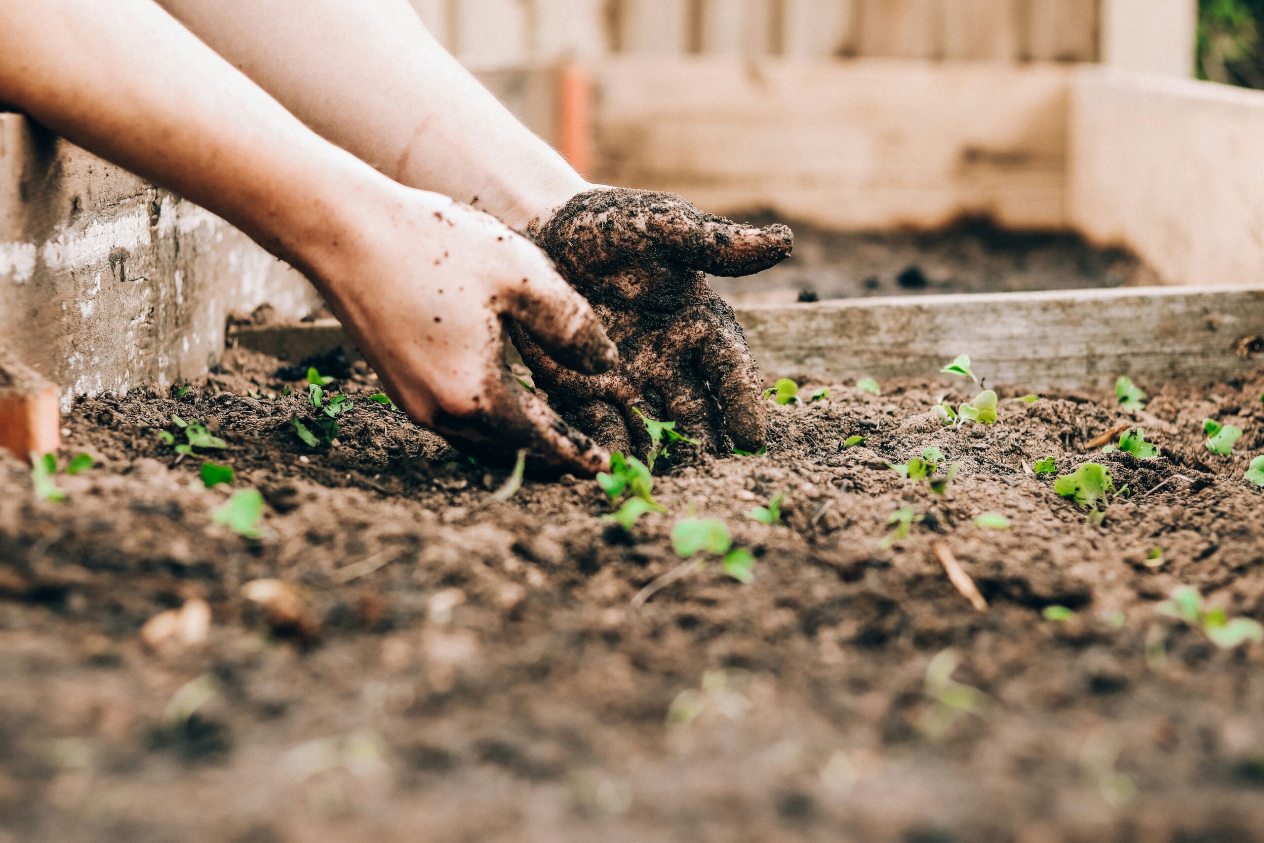 Grow Your Food