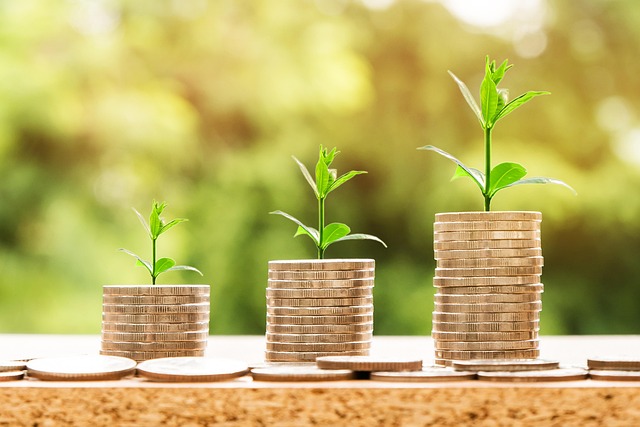 Financial Growth Illustration