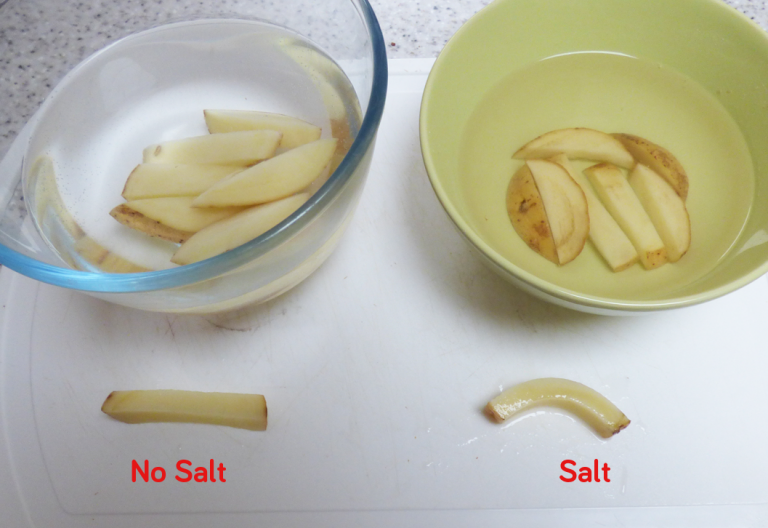 Osmosis in Potato