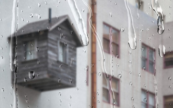 How to Reduce Humidity in House
